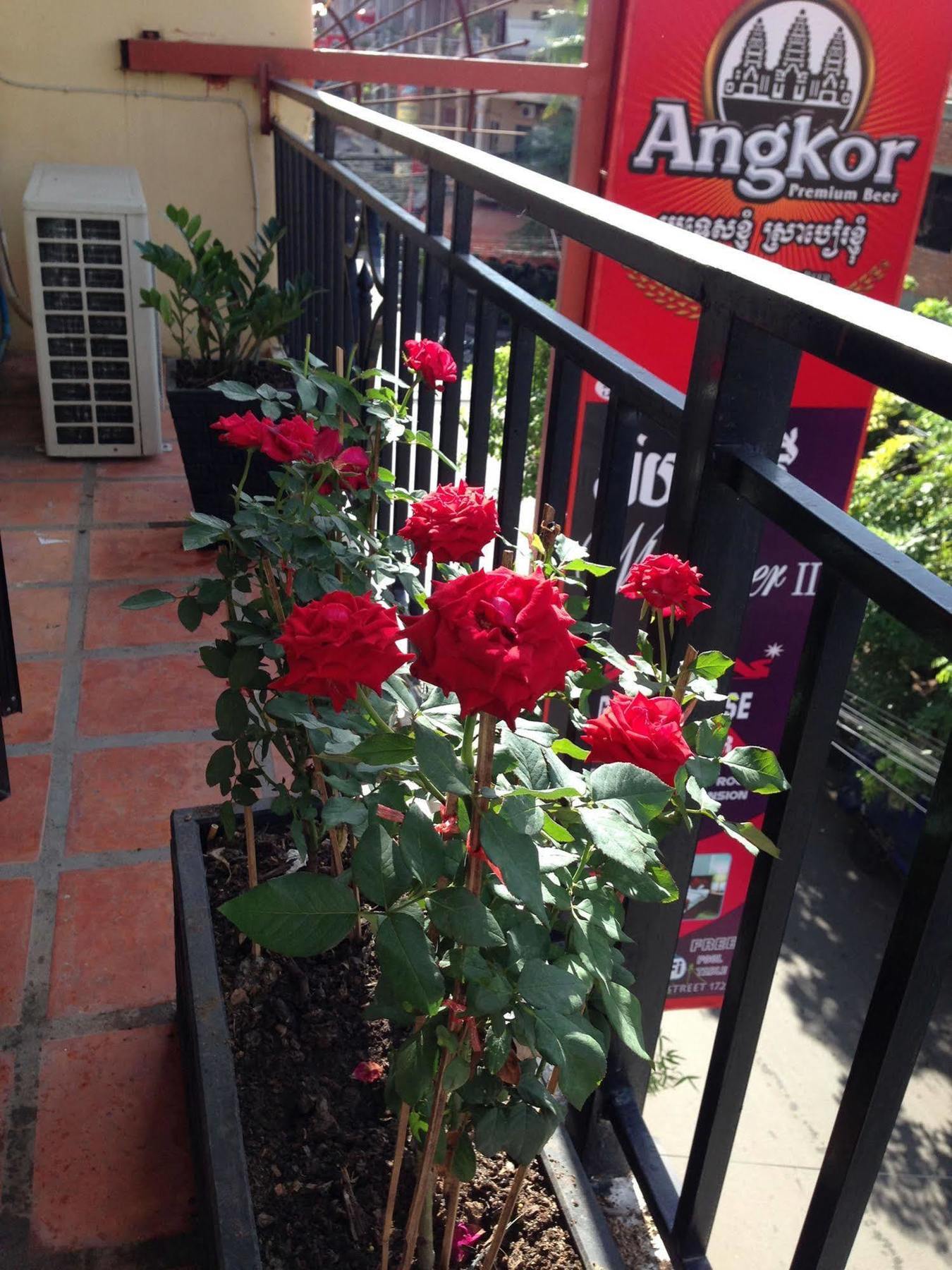 White River II Hostel Phnom Penh Ngoại thất bức ảnh